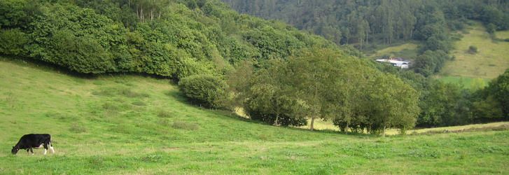 Gesatec Ingenieros, ingeniería agraria y medioambiental.